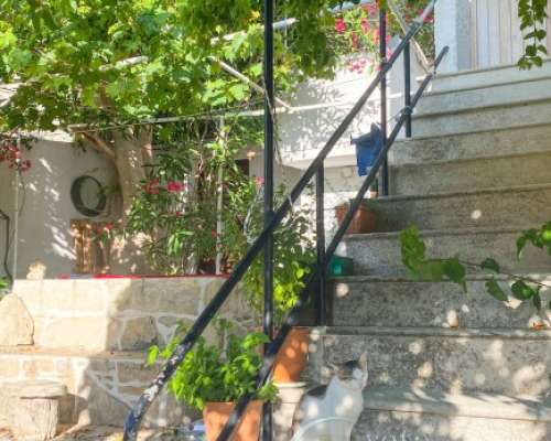 φωτογραφία ακινήτου