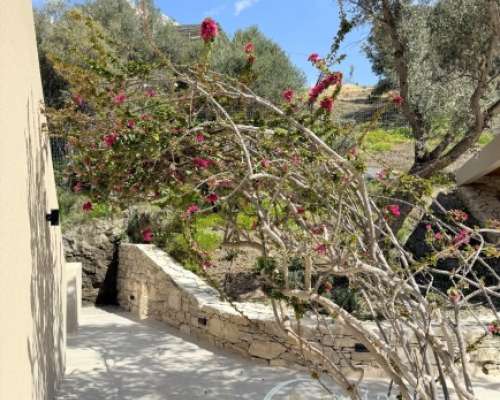 φωτογραφία ακινήτου