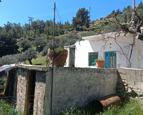φωτογραφία ακινήτου