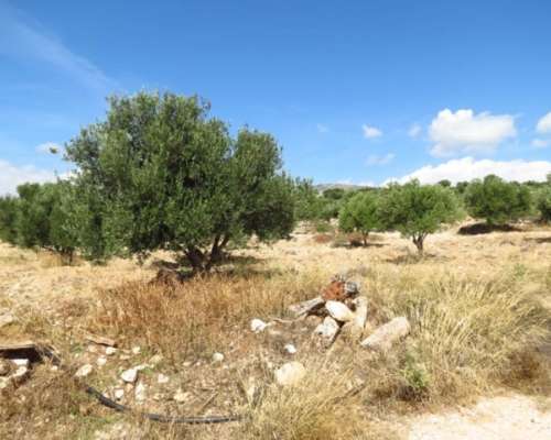 εικόνα ακινήτου