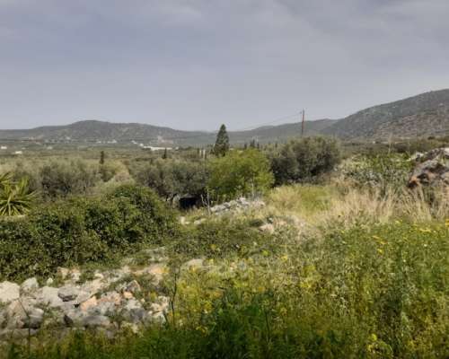 φωτογραφία ακινήτου