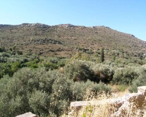 φωτογραφία ακινήτου