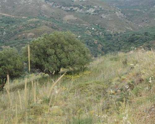εικόνα ακινήτου