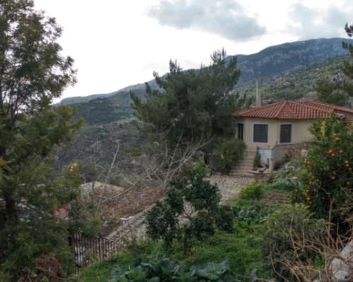 φωτογραφία ακινήτου