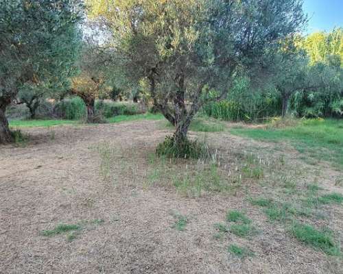 φωτογραφία ακινήτου