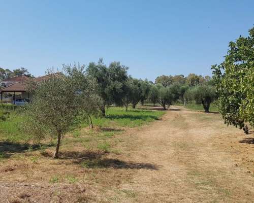 φωτογραφία ακινήτου