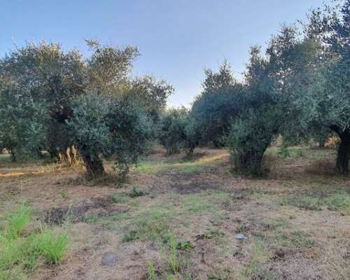 εικόνα ακινήτου