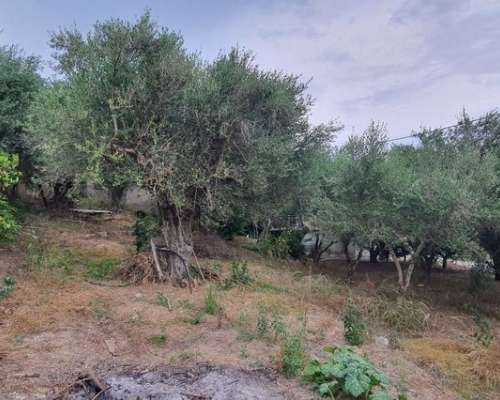 φωτογραφία ακινήτου