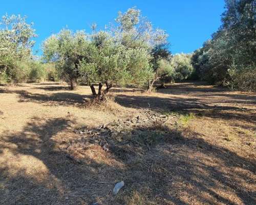 φωτογραφία ακινήτου