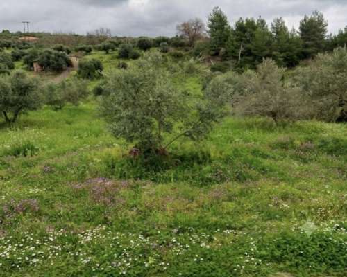 φωτογραφία ακινήτου