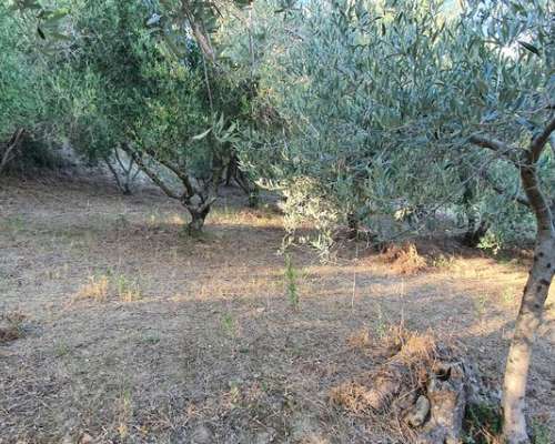 φωτογραφία ακινήτου