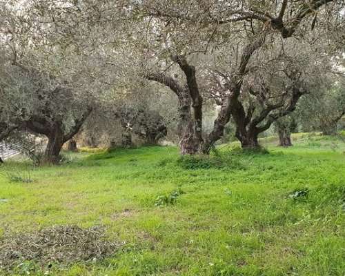 φωτογραφία ακινήτου