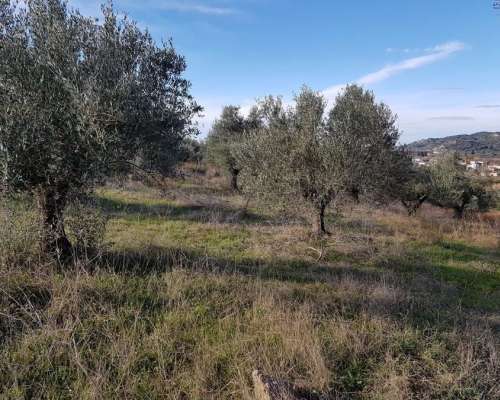εικόνα ακινήτου