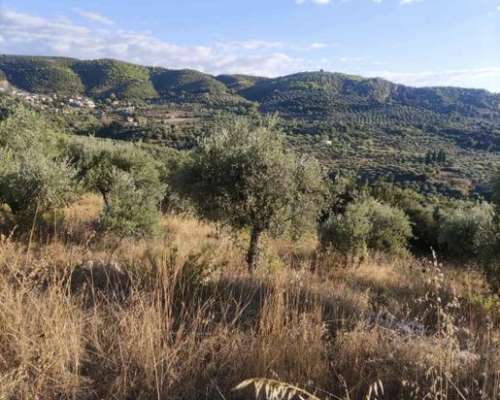 εικόνα ακινήτου