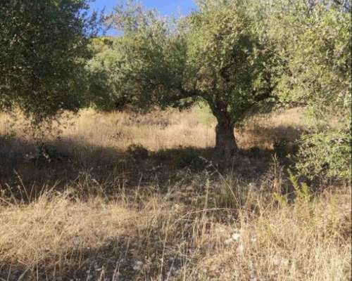 φωτογραφία ακινήτου