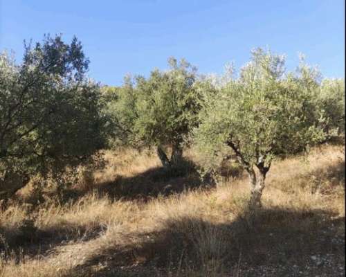 φωτογραφία ακινήτου