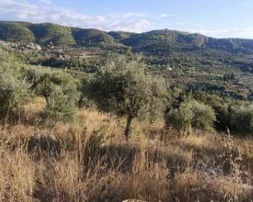 φωτογραφία ακινήτου
