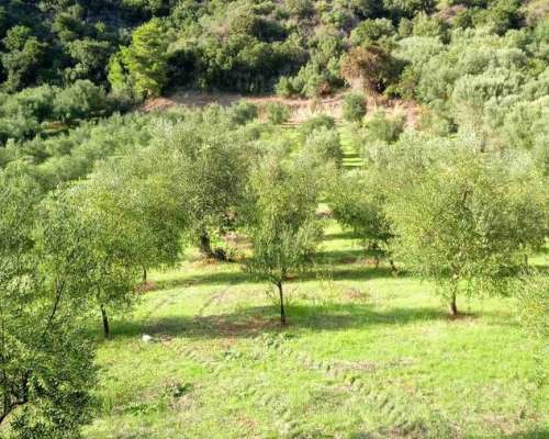 εικόνα ακινήτου