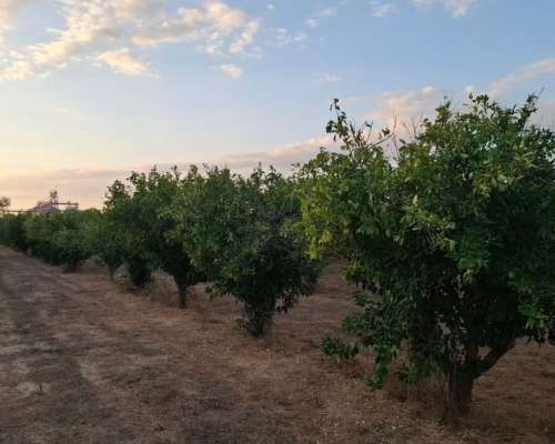φωτογραφία ακινήτου