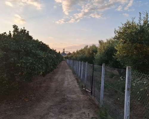 φωτογραφία ακινήτου