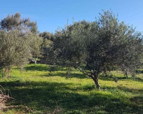 φωτογραφία ακινήτου