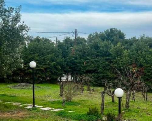 εικόνα ακινήτου