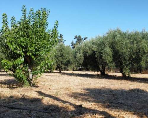 φωτογραφία ακινήτου