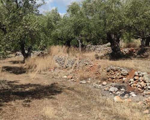φωτογραφία ακινήτου
