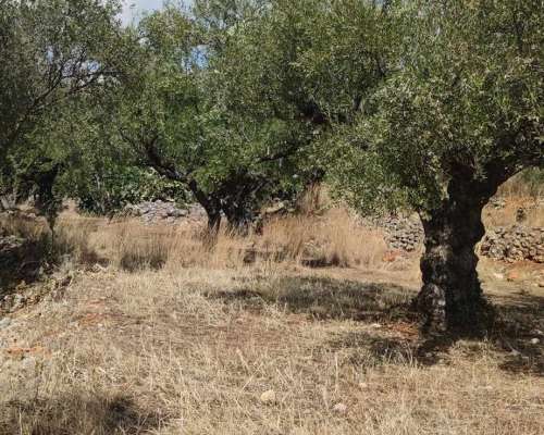 φωτογραφία ακινήτου