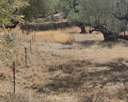 φωτογραφία ακινήτου