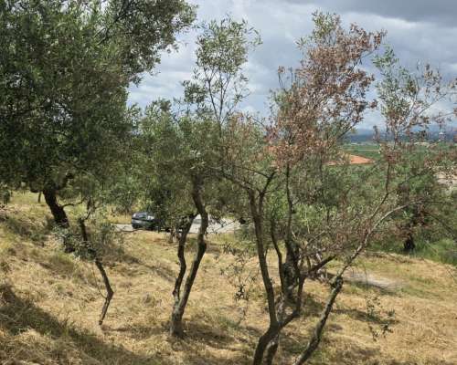φωτογραφία ακινήτου