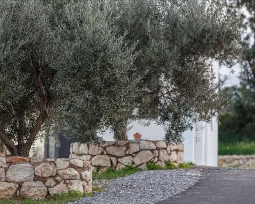 φωτογραφία ακινήτου