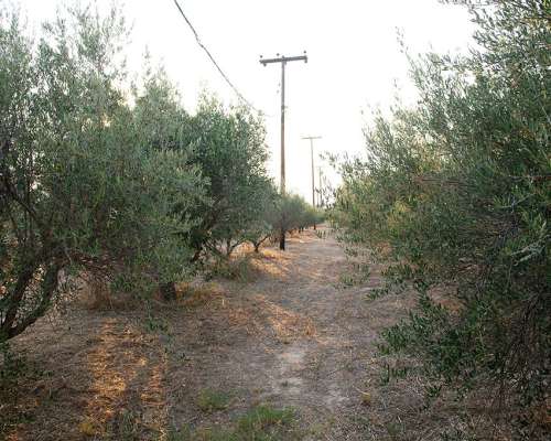 εικόνα ακινήτου