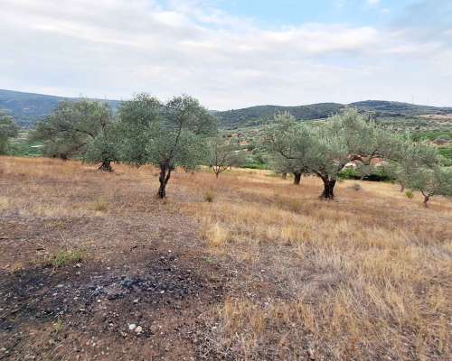 εικόνα ακινήτου