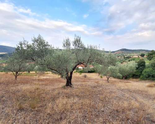 φωτογραφία ακινήτου