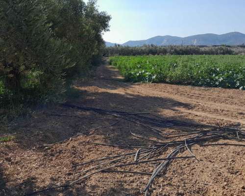 φωτογραφία ακινήτου