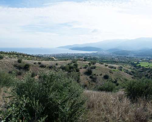 εικόνα ακινήτου