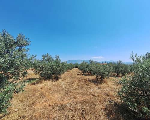 φωτογραφία ακινήτου