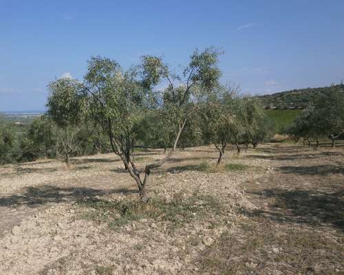 εικόνα ακινήτου
