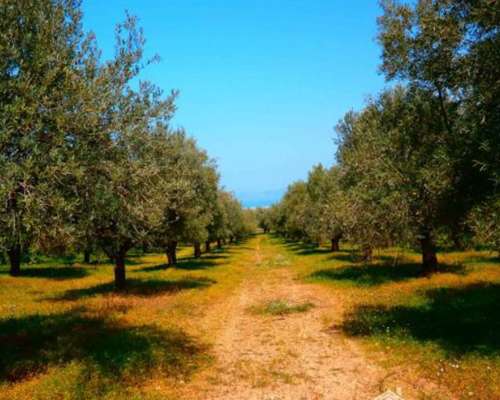 φωτογραφία ακινήτου