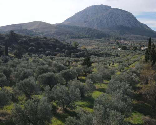 φωτογραφία ακινήτου