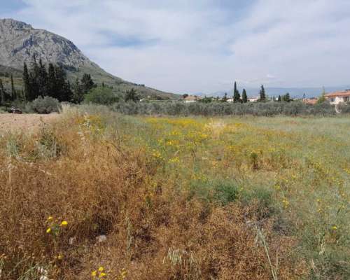 φωτογραφία ακινήτου