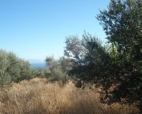 φωτογραφία ακινήτου