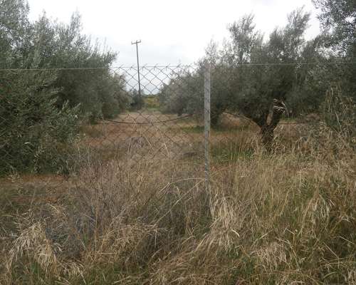 φωτογραφία ακινήτου