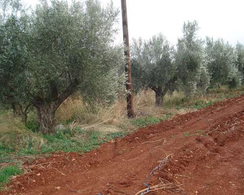 εικόνα ακινήτου