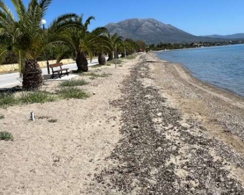 φωτογραφία ακινήτου