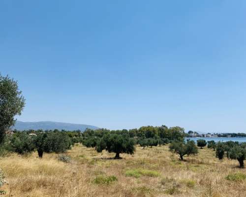 φωτογραφία ακινήτου