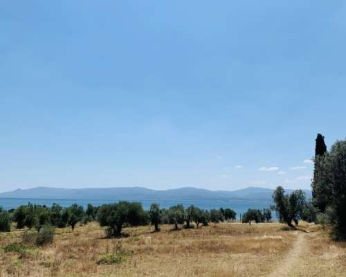 φωτογραφία ακινήτου