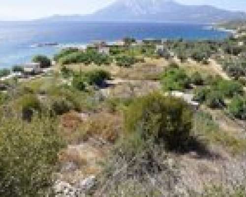 φωτογραφία ακινήτου