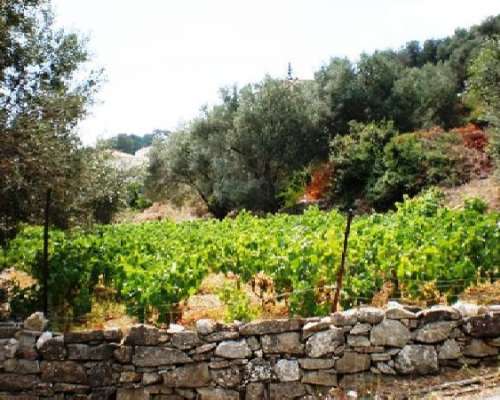εικόνα ακινήτου